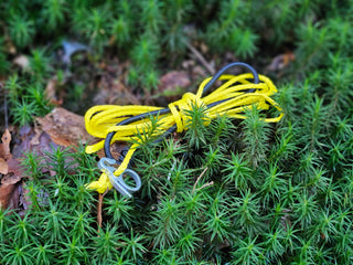 Tarp Abspannleine mit Dutch Titanium Ringworm