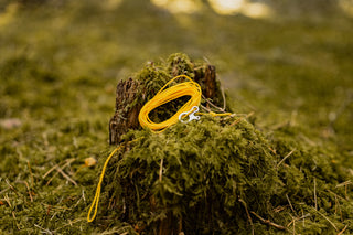 thp Original Splitted Ridgeline