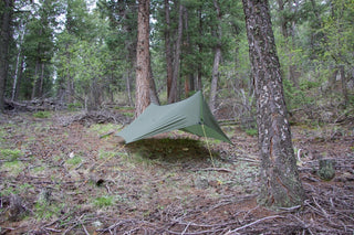 Warbonnet Thunderfly